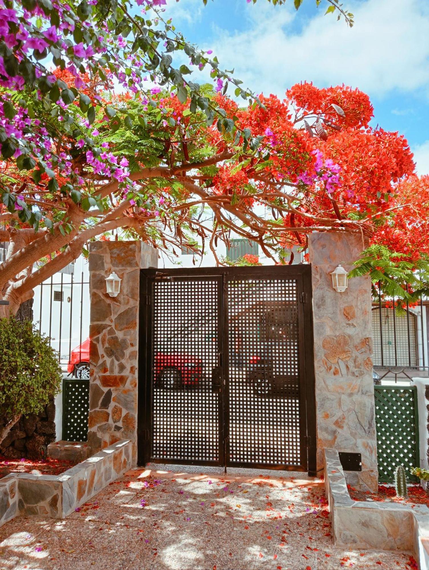 Apartamentos Las Acacias 푸에르토 델 카르멘 외부 사진